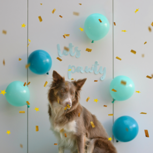 Dog Pawty Day