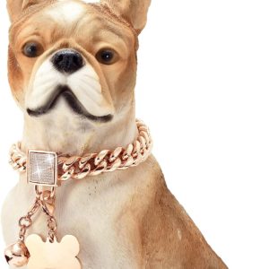 Dog Pawty Day Accessories