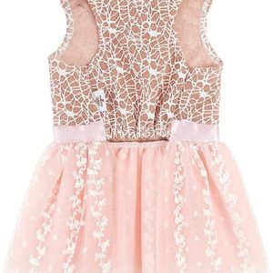 Dog Pawty Day Accessories