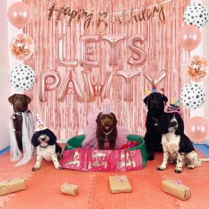 Dog Pawty Day Decorations
