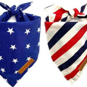July 4th Accesssories