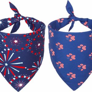 July 4th Accesssories