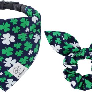 St. Patrick's Accessories