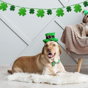 St. Patrick's Decorations