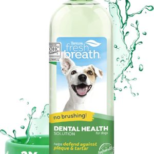 St. Patrick's Treats