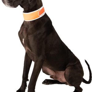 Summertime Toys Accessories